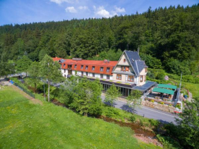 Hotel Waldmühle in Zella-Mehlis, Schmalkalden-Meiningen
